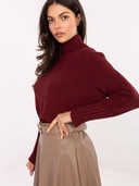 Golf- Maglione a collo alto